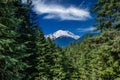 Mt. Ranier from Mather Memorial Parkway