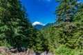 Mt. Ranier from Mather Memorial Parkway