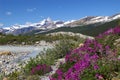 Mt. Robson Provincial Park A