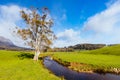 Mt Roland near Sheffield in Tasmania Australia Royalty Free Stock Photo