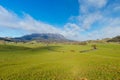 Mt Roland near Sheffield in Tasmania Australia Royalty Free Stock Photo