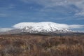 Mt Ruapehu from Desert road