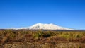 Mt Ruapehu in Tongariro National Park, New Zealand Royalty Free Stock Photo