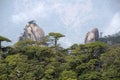 Mount Sanqing, Sanqingshan, Jiangxi China