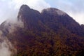 Mt. Santubong, Borneo, Malaysia