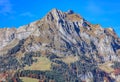 Mt. Scheideggstock in autumn