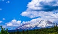 Mt. Shasta Royalty Free Stock Photo