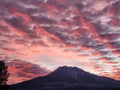 MT.shasta Royalty Free Stock Photo