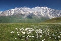 Mt. Shkara, the higest mount in Georgia Royalty Free Stock Photo