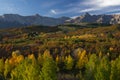 Mt. Sneffels and Aspen Trees bathed in Morning sun light Royalty Free Stock Photo