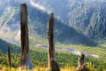 Mt. St. Helens Gifford Pinchot National Forest