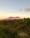 Mt. St. Helens sunset