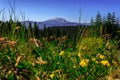 Mt St Helens Viewpoint, McClellan Overlook, Washington