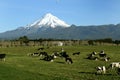 Mt Taranaki Royalty Free Stock Photo