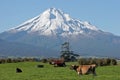 Mt Taranaki and Farm land