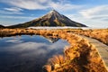 Mt. Taranaki reflection in Pouakai Pool, New Zealand Royalty Free Stock Photo