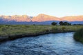 Mt. Tom and the Owens River