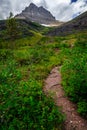 Mt Wilbur and Glacier Hiking Views at Many Glacier, Glacier National Park