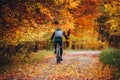 MTB Biker Ride in colorful autumn forest Royalty Free Stock Photo