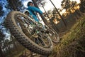 MTB cyclist on outdoor trail Royalty Free Stock Photo