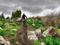 MTB cyclist riding a trail in the rain