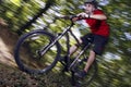 MTB extreme Royalty Free Stock Photo