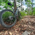 Mtb packbike trail Royalty Free Stock Photo