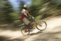 MTB racer Royalty Free Stock Photo