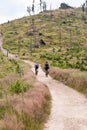 MTB riders on hiking trail in Beskid Slaski mountains Royalty Free Stock Photo