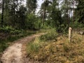 MTB route sign and forest around Ommen Royalty Free Stock Photo