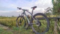 Mtb Thrill Ravage