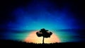 Beautiful orange Sunset solitude tree silhouette nature landscape Royalty Free Stock Photo