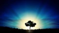 Beautiful yellow Sunset solitude tree silhouette nature landscape