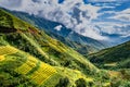 Mu Cang Chai, landscape terraced rice field near Sapa