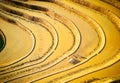 An unidentified man harrowing the fields, viewed from the air.