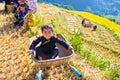 Ethnic child sitting in a cart. Royalty Free Stock Photo