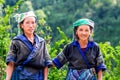 MU CANG CHAI, YENBAI, VIETNAM - JUNE 04, 2011 - Unidentified ethnic women with their traditional costumes