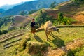 An unidentified ethnic girl and her buffalo