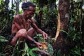 Tribal elder Toikot collecting materials fruits and plants in the jungl