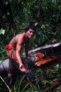 Tribal member Aman collecting grubs from a fallen sago tree in the midd