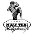 Muay Thai vector logo for boxing gym or other Royalty Free Stock Photo