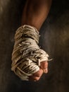 Muay thai Royalty Free Stock Photo