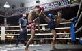 Muay Thai in Chiang Mai