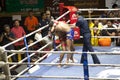 Muay Thai fighters compete in a Thai boxing match