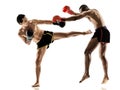 Muay Thai kickboxing kickboxer boxing men isolated Royalty Free Stock Photo