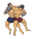 Muay thai. Martial art vector and illustration