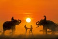 Muay Thai of Muangthai. Boxing fighting In the middle between two elephants. Boxing fighting with sunset light as a backdrop. The Royalty Free Stock Photo