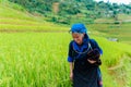 MUCANGCHAI, VIETNAM, September 29, 2018: Hmong ethnic minority women in Mu Cang Chai, Yen Bai