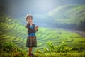 MUCANGCHAI, VIETNAM, September 22 , 2017: Undefined Vietnamese H Royalty Free Stock Photo