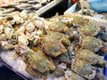 much of crab on stainless table sell in seafood market Royalty Free Stock Photo